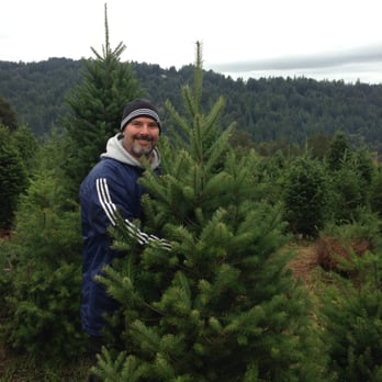 summit christmas tree farm los gatos ca united states summit christmas tree farm los gatos ca united states
