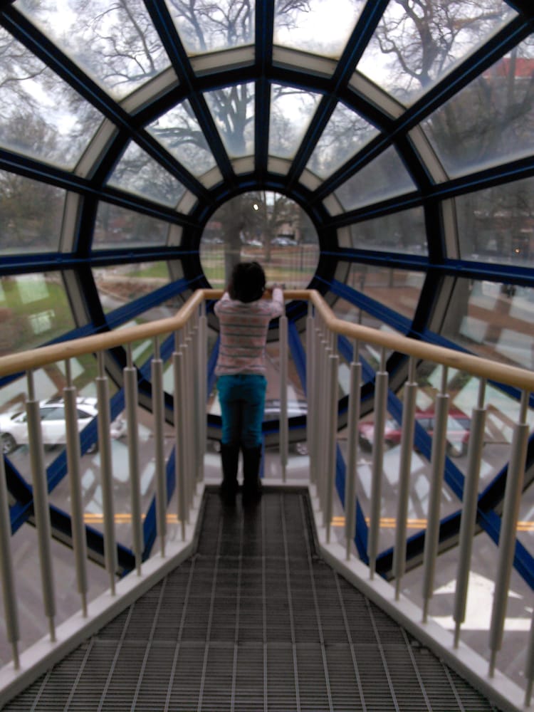 Marbles Kids Museum 78 Photos Museums 201 E Hargett St Raleigh