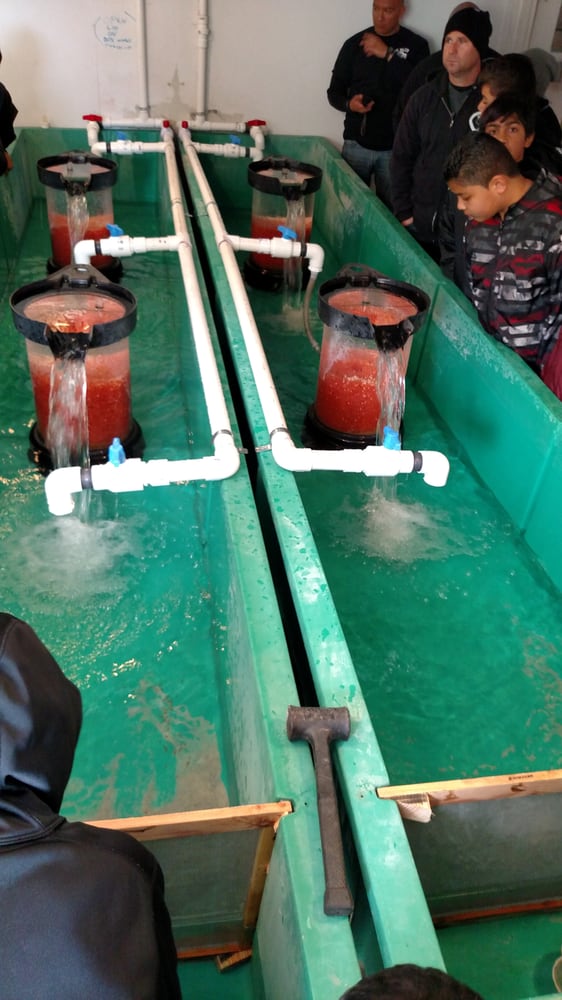 Mojave River State Fish Hatchery Public Services & Government