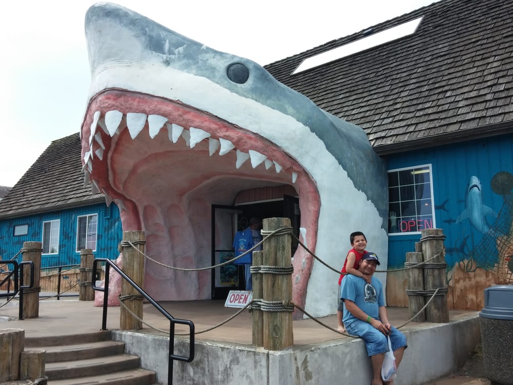 Sharky’s Arts & Crafts Ocean Shores, WA Yelp