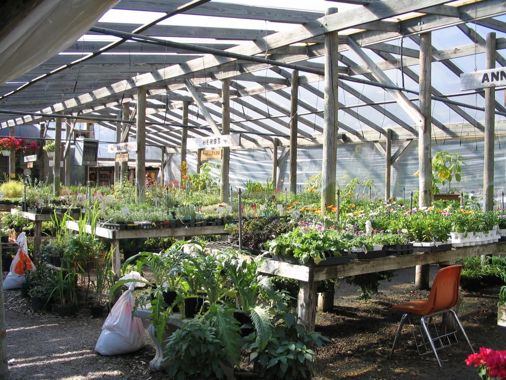 barton springs nursery 52 photos garden centres barton springs nursery 52 photos garden centres