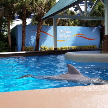 Seaworld Behind The Scenes Tour Review Orlando Seaworld Behind The Scenes Tour Review Orlando