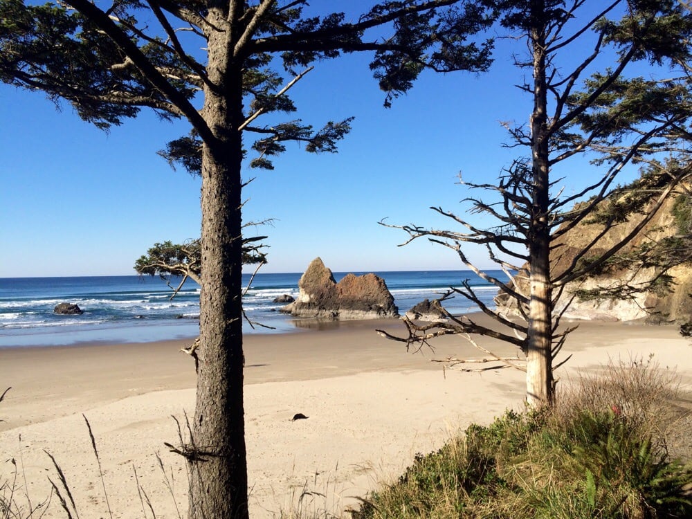 Arcadia Beach State Recreation Site Parks Cannon Beach, OR