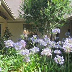 Jennifer Sun, MD logo