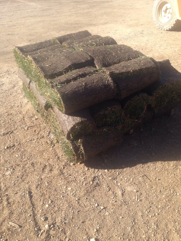 Grass Farm Nurseries & Gardening Yelp