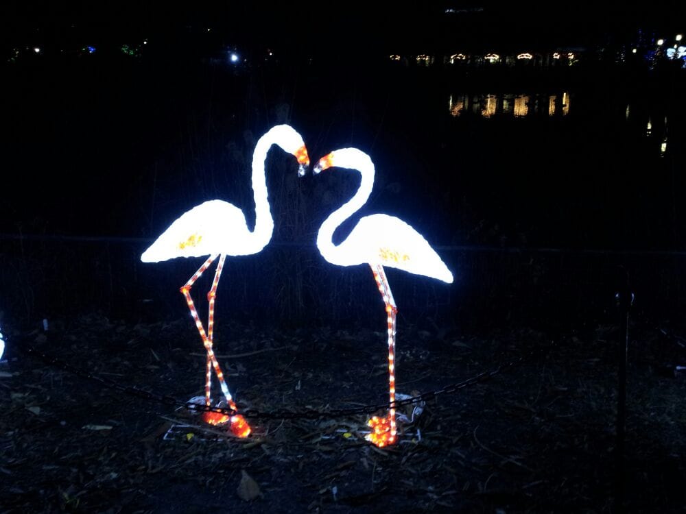 Wild Lights at the St. Louis Zoo Local Flavor Forest Park Saint