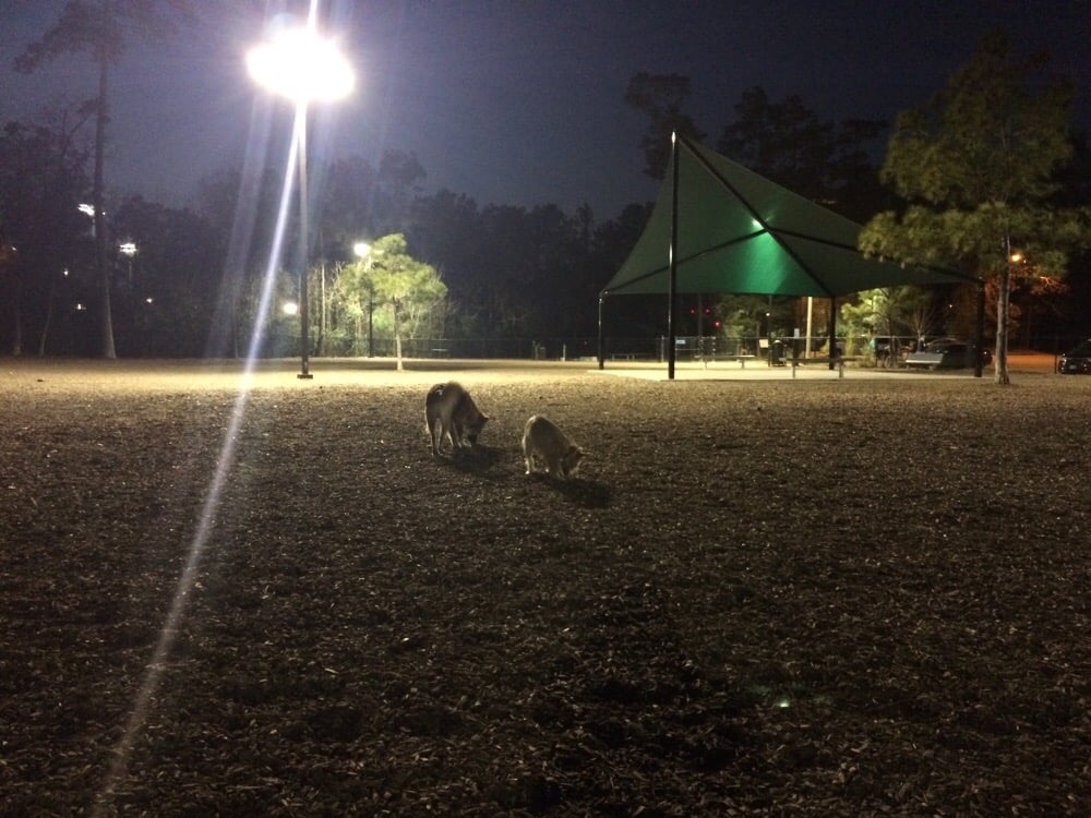 Bear Branch Park Parks The Woodlands, TX Yelp