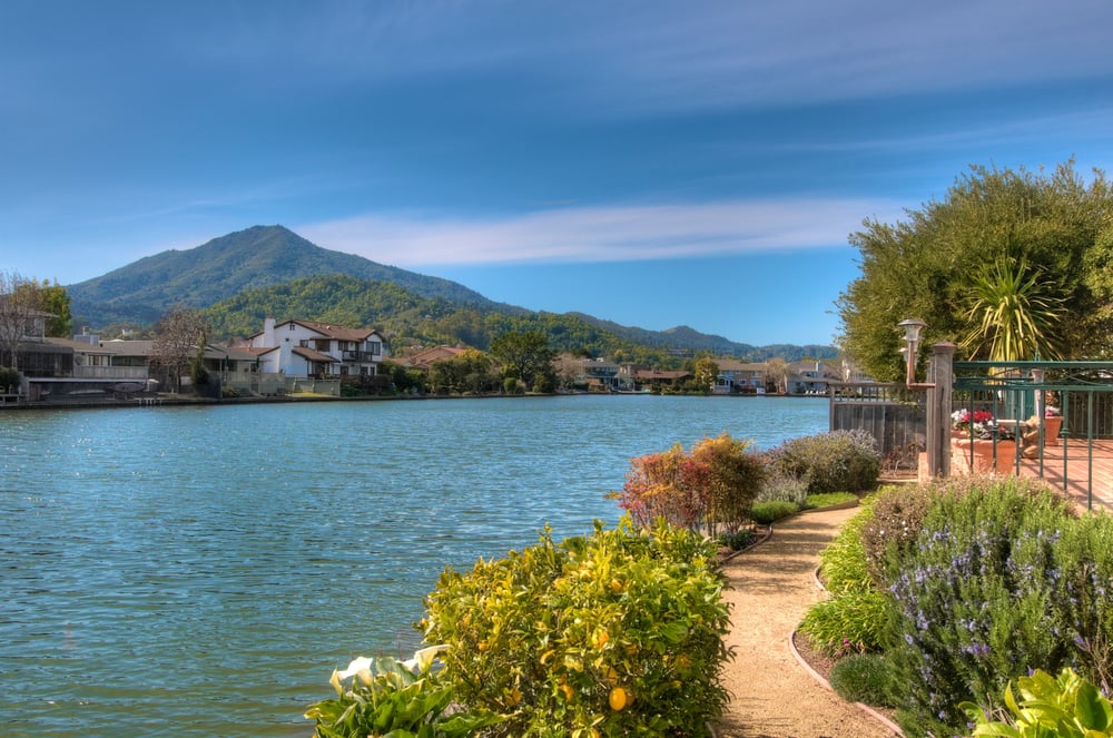 Ted Strodder Decker Bullock Sotheby’s International Realty Real