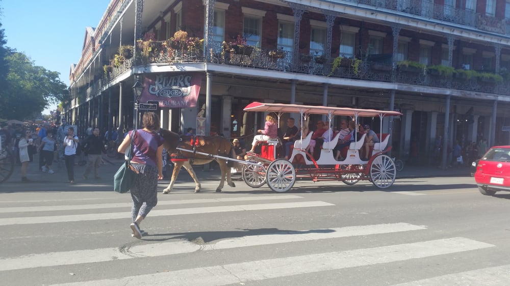 French Market Used, Vintage & Consignment French Quarter New Orleans, LA Reviews