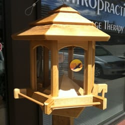 the wild bird store pet stores the wild bird store pet stores