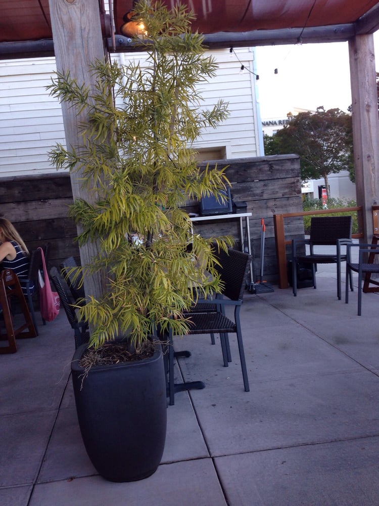 Restaurants In Madera Ca That Deliver Restaurants In Madera Ca That Deliver