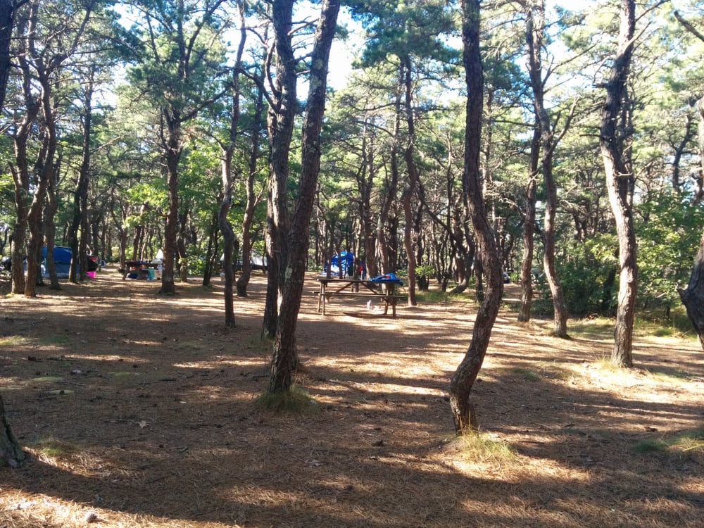 North of Highland Camping Area - Campgrounds - North Truro ...