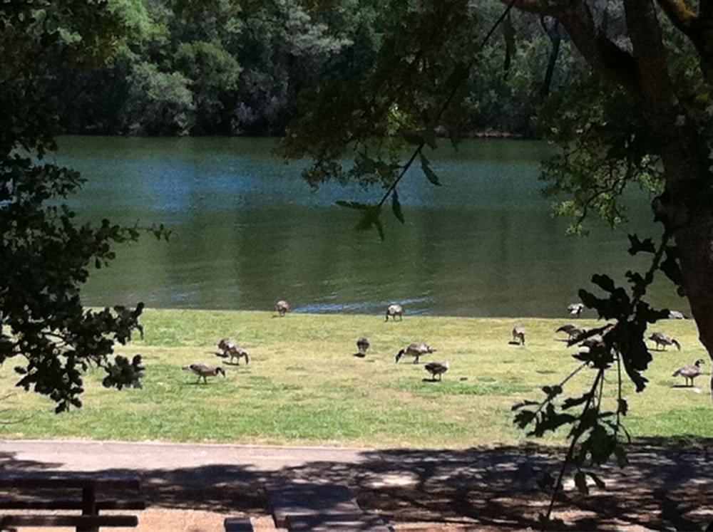 loafer creek cground loafer creek parks oroville ca reviews photos yelp loafer creek cground loafer creek parks oroville ca reviews photos yelp