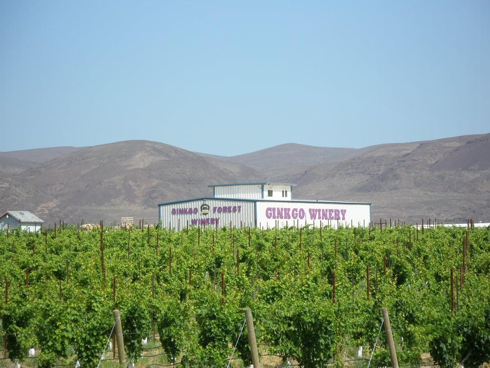 Ginkgo Forest Winery Wineries Mattawa, WA Reviews Photos Yelp