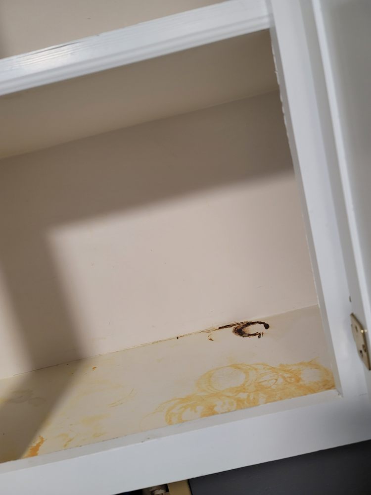 Ashley Cleaning Services