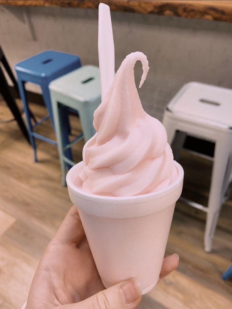 Yogurt Pump
