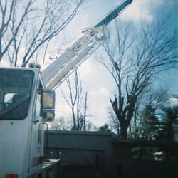 Tree Service Sturtevant  Photo of Cassity Tree Service - Sturtevant, WI, United States. Tree removal with