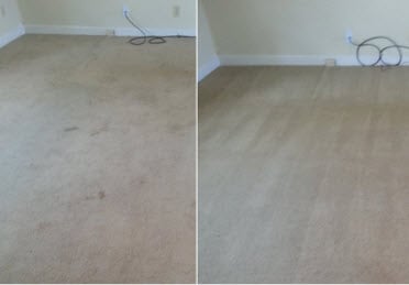 All American Carpet Cleaning