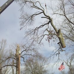 Tree & Land Masters
