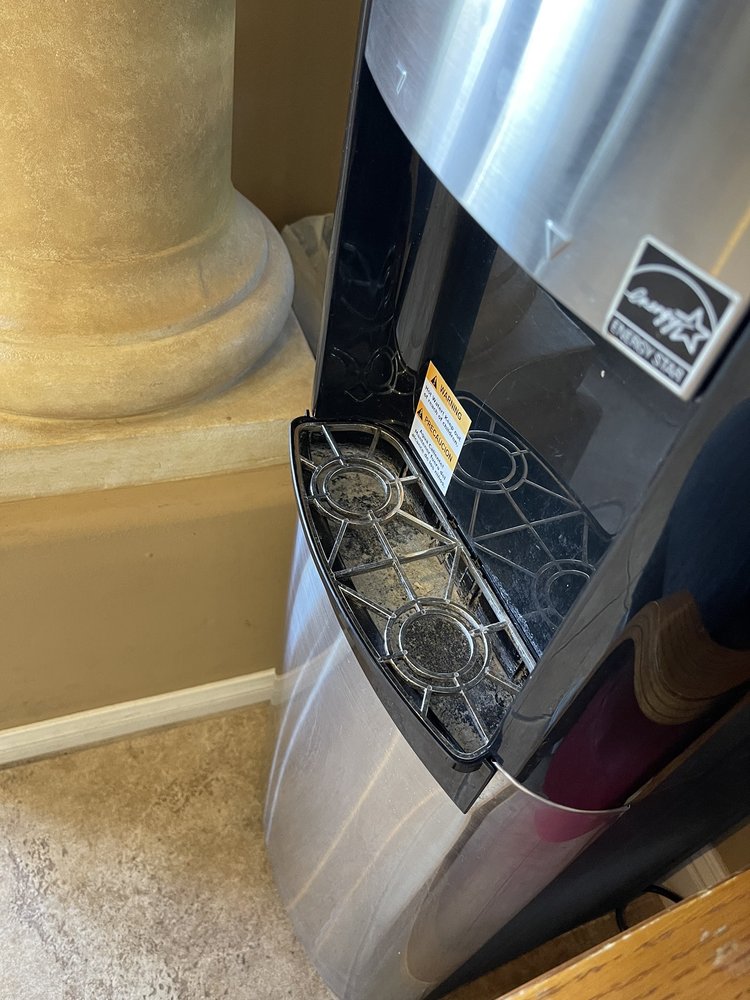 image of business Asthma And Allergy Medical Group