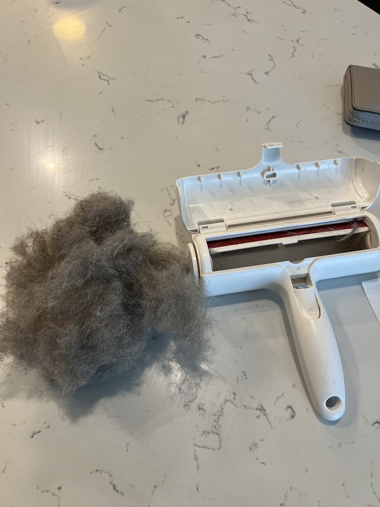 Dynamic Carpet Care - Tampa