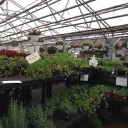 Johnson S Florist Garden Center Closed 62 Reviews Nurseries Collect Photo Of Johnson S Florist Garden Center Washington Dc United States