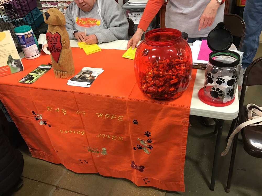 PetSmart 16 Photos & 19 Reviews Pet Stores 15255 W 119Th St