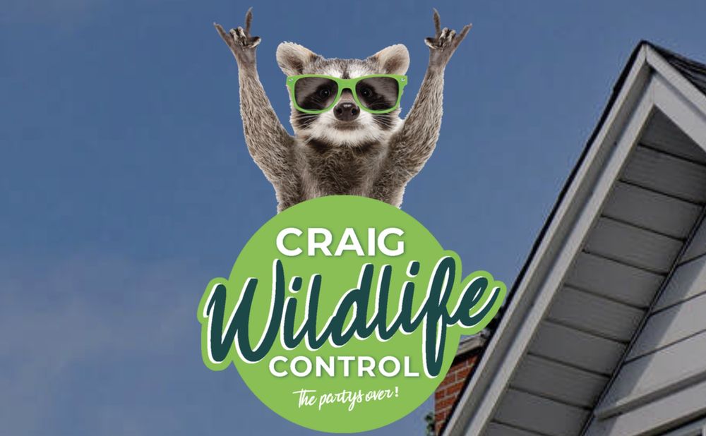 Craig Wildlife Control
