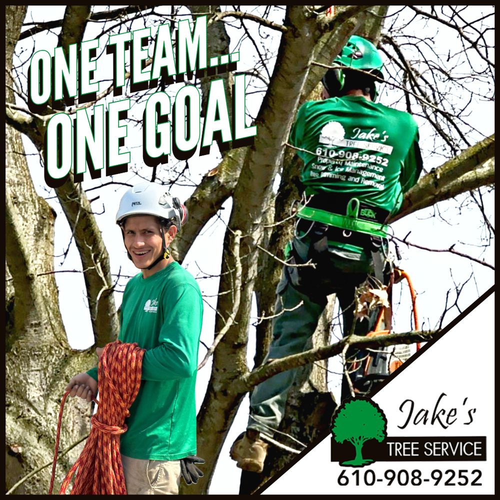Jake's Tree Service
