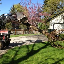 Landscaping In Yelm Yelp Artistic Grounds Service