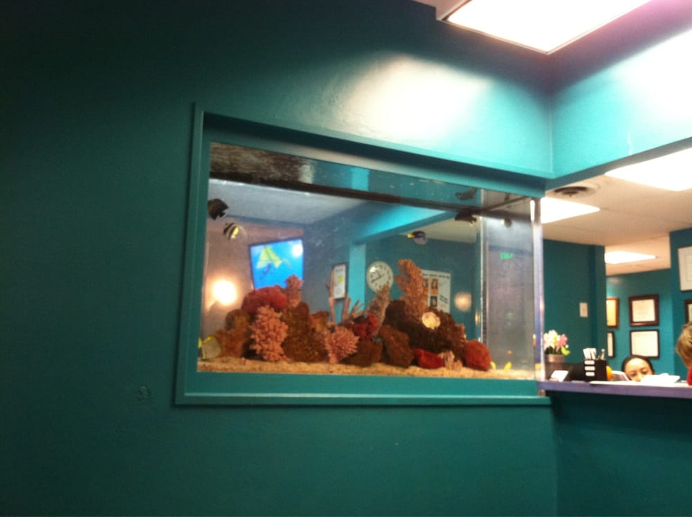 fancy fish tank. sick waiting area on other side - yelp fancy fish tank. sick waiting area on other side - yelp