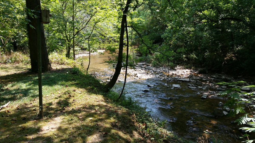 Jemison Park 43 Photos & 12 Reviews Parks 29012999 Mountain