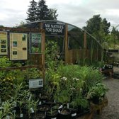 Portland Nursery 96 Photos 115 Reviews Nurseries Gardening Photo Of Portland Nursery Or United States Great Variety