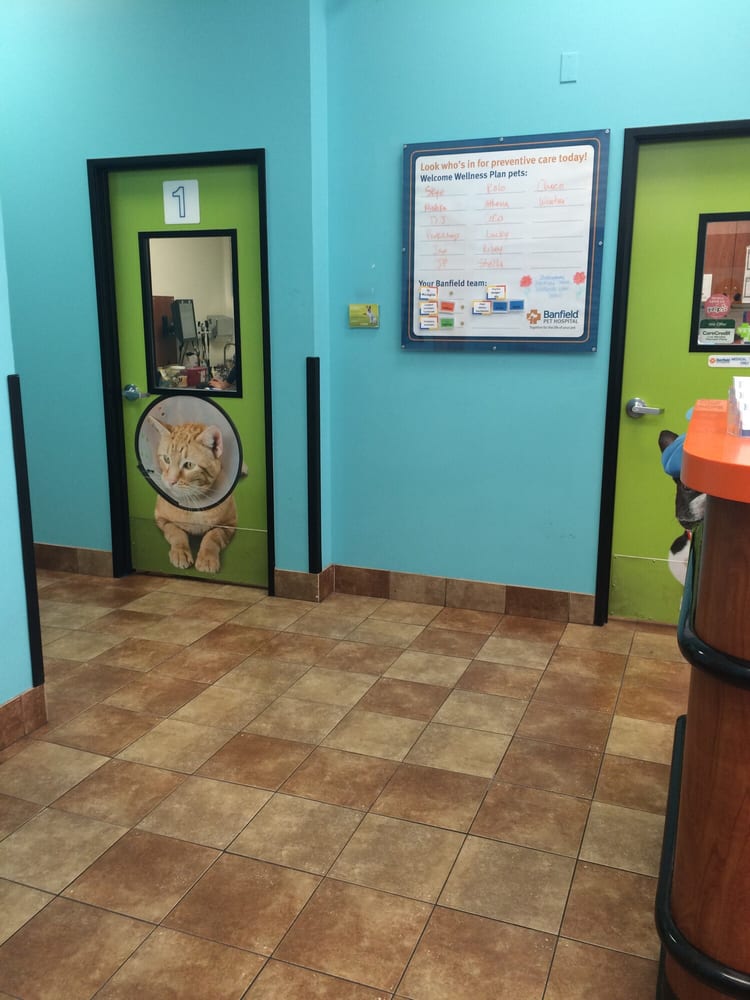 Banfield Pet Hospital CLOSED 10 Photos & 57 Reviews Veterinarians