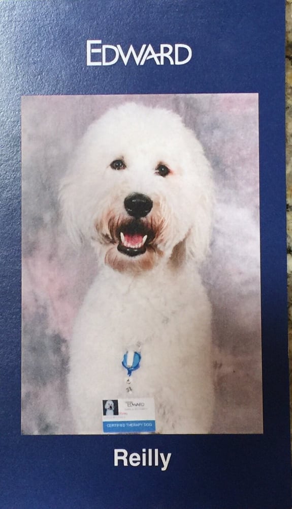 Edward Hospital Main Campus 34 Photos & 70 Reviews Hospitals