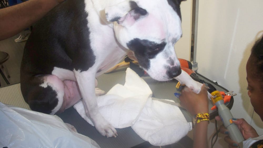 Bath, now nails... let's finish with my favorite perfume. Yelp