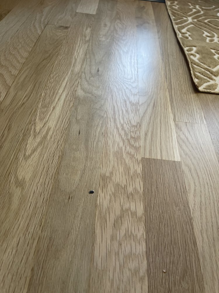 Southern Premier Hardwood Flooring