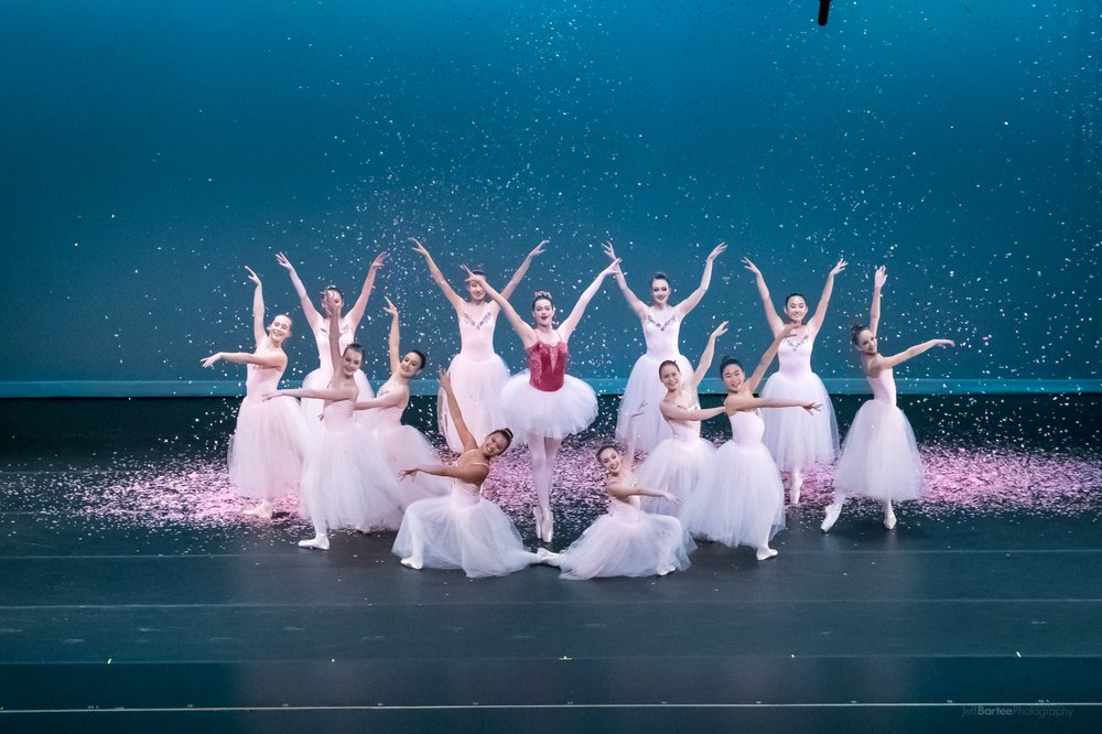 Liv DanceArts, Professional Ballet School