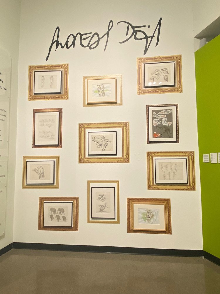 Arlington Museum of Art