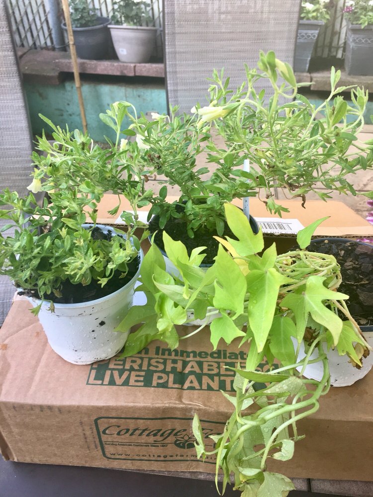 Wayside Gardens Nurseries & Gardening 1 Garden Ln, Greenwood, SC