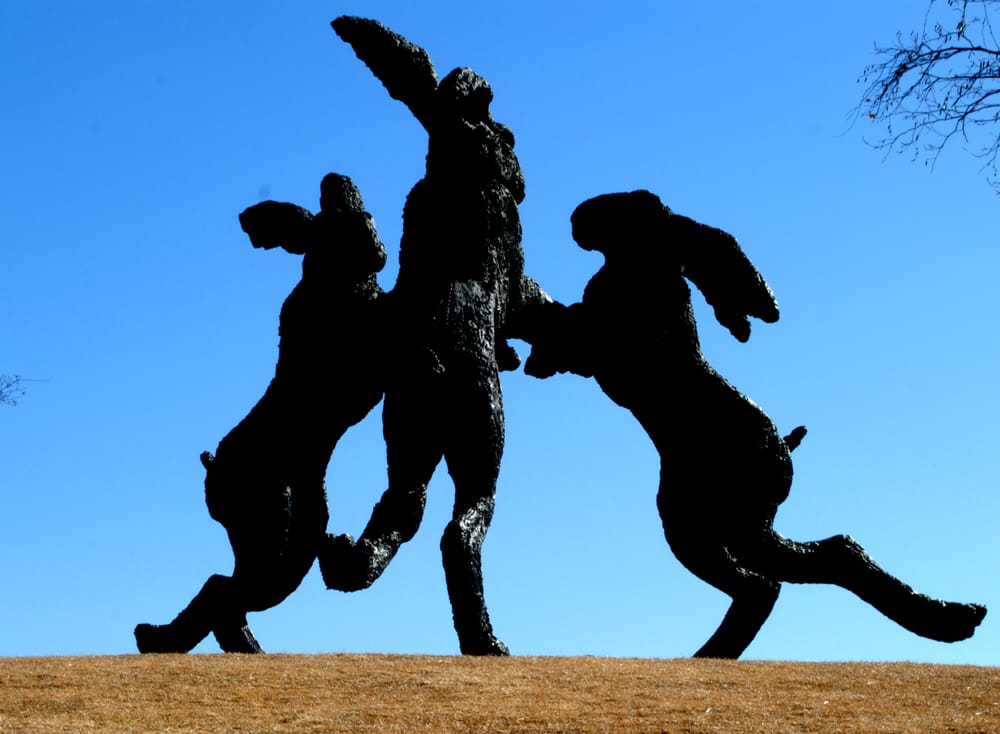 Giant Dancing Rabbits of Ballantrae Park 16 Photos Local Flavor