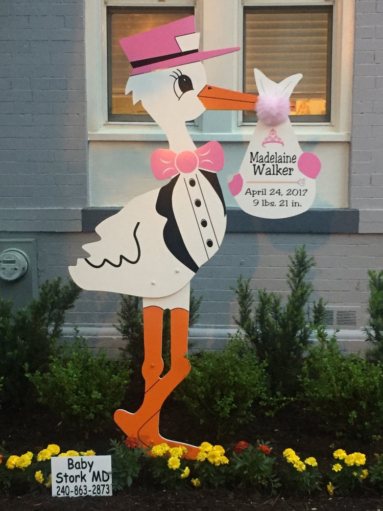 Baby Stork MD