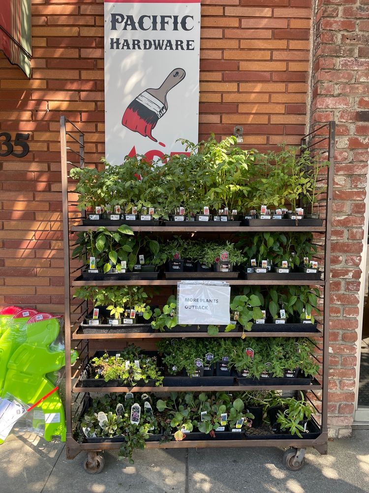 Pacific Ace Hardware