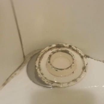 Black Mold In Bathroom Apartment carolina apartments - 18 photos - apartments - 401 hwy 54 bypass Black Mold In Bathroom Apartment carolina apartments - 18 photos - apartments - 401 hwy 54 bypass
