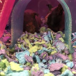 petsmart 16 reviews pet