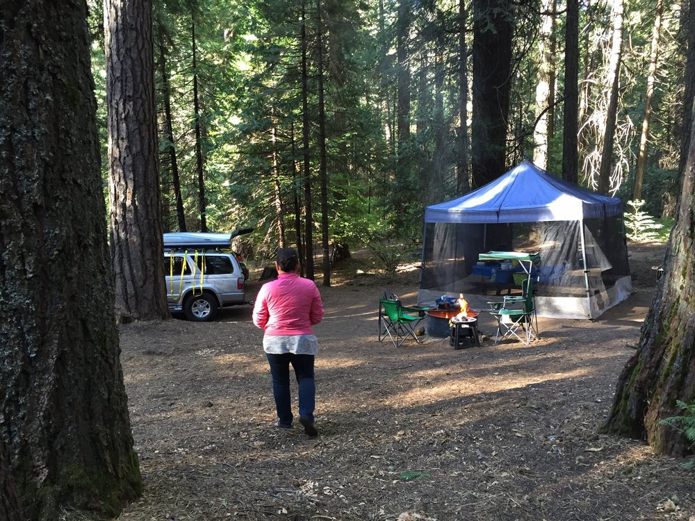 Pipi Campground 78 Photos & 30 Reviews Campgrounds Pioneer, CA