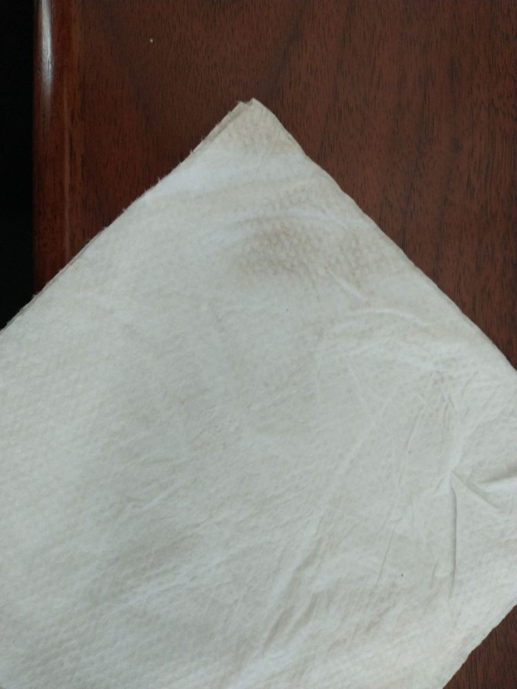 Spotless, Inc - Charlotte