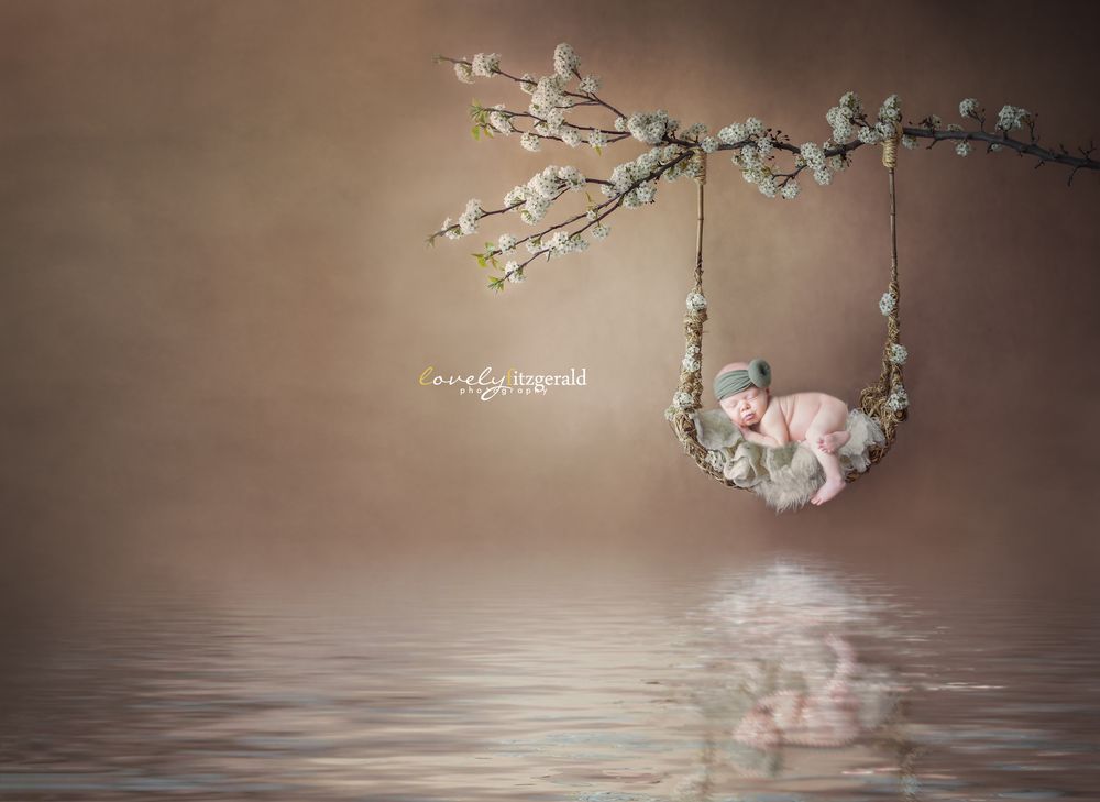 Lovely Fitzgerald Photography LLC