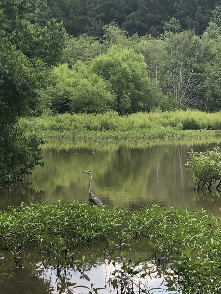 Clyde Shepherd Nature Preserve