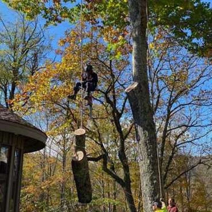 Affordable Tree Service